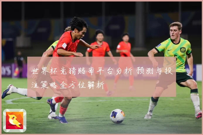 世界杯竞猜赔率平台分析 预测与投注策略全方位解析