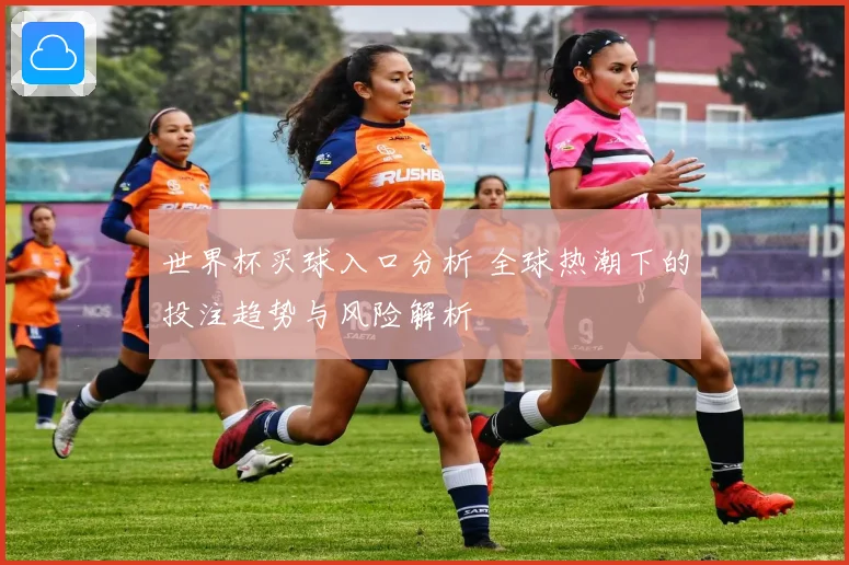 世界杯买球入口分析 全球热潮下的投注趋势与风险解析