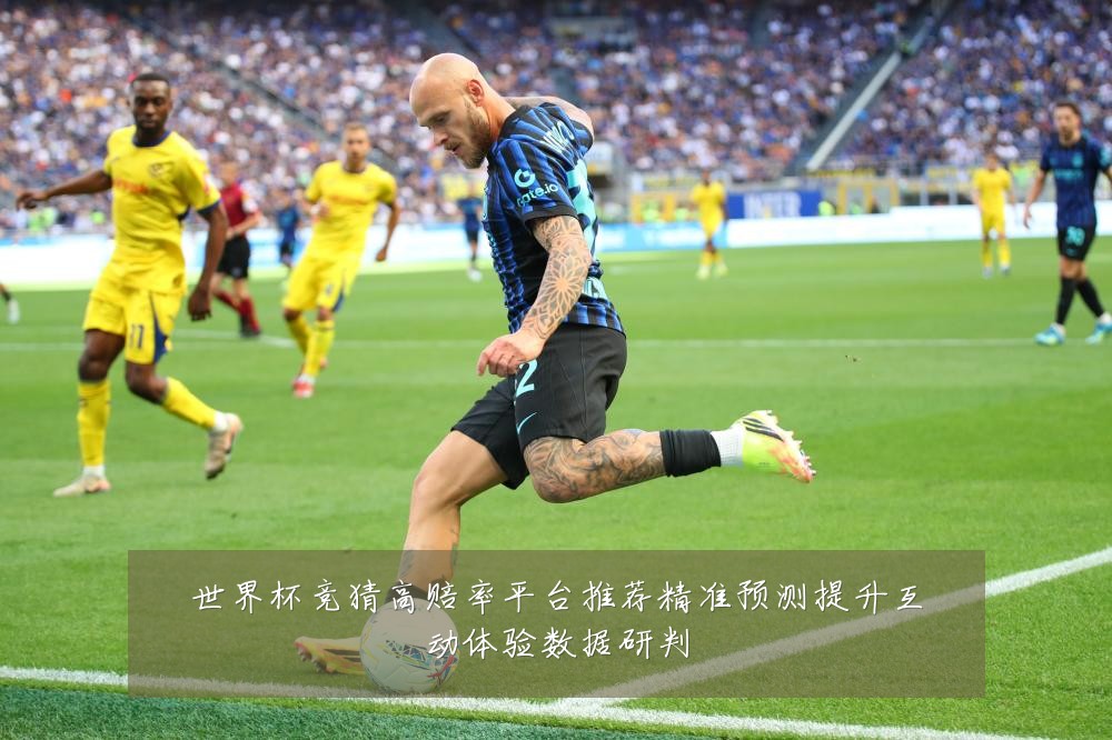 世界杯竞猜高赔率平台推荐精准预测提升互动体验数据研判